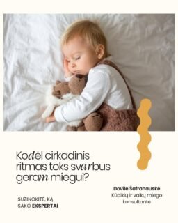 CIRKADINIS RITMAS. 🌙 Ar žinojote, kad vaiko miego ritmas nėra tik „gero įpročio“ reikalas? Tai biologinis procesas, kurį valdo cirkadiniai ritmai.

Cirkadinis ritmas – tai vidinis kiekvieno mūsų laikrodis, kuris organizme reguliuoja miego–budrumo ciklą, hormonų gamybą ir energijos lygį per ~24 valandas. Jis padeda kūnui natūraliai suprasti, kada jam laikas ilsėtis, o kada būti aktyviam.

🕰Vaikams šis ritmas formuojasi nuo pirmųjų mėnesių, o iki ~5 metų jis tampa vis stabilesnis ir panašesnis į mūsų, suaugusiųjų.

Tamsa skatina melatonino gamybą – hormono, kuris padeda užmigti. Šviesa, ypač mėlynos spalvos, atvirkščiai – signalizuoja organizmui, kad dar ne laikas miegoti.

👉 Nereguliarus grafikas ar netvarkinga diena gali „išmušti” šį ritmą ir apsunkinti užmigimą ar nakties poilsį.

ČIA į pagalbą ateina Purflo miego treniruoklis laikrodukas:

🔴 raudona šviesa – laikas ramiai lėtėti ir ruoštis miegui

🔵 mėlyna šviesa – rytas atėjo ir galime keltis

Tokiu būdu jūsų mažylis ima suprasti savo biologinį laikrodį per regimą ir lengviau nei žodžiai suprantamą ženklą – ir tai padeda kasdien palaikyti sveiką ritmą. ✨

🛒2025 m. „First time moms UK” apdovanojimų nugalėtoją „Snoozee“ laikroduką atraskite www.mylu.lt (ar per nuorodą bio).

Kovą jam -10% nuolaida!

#purflo #miegolaikrodis #mylushop #vaikumiegas #miegorutina miego superherojus tėvystė mamų gyvenimas purflo laikrodis snoozee